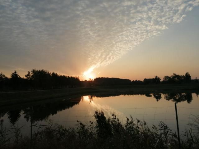 Vila Pod Debem Winnica Exteriér fotografie